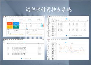 遠程預付費抄表系統的原理是什么呢？—老王說表